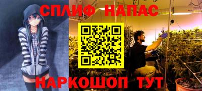 Альфа ПВП Заводоуковск