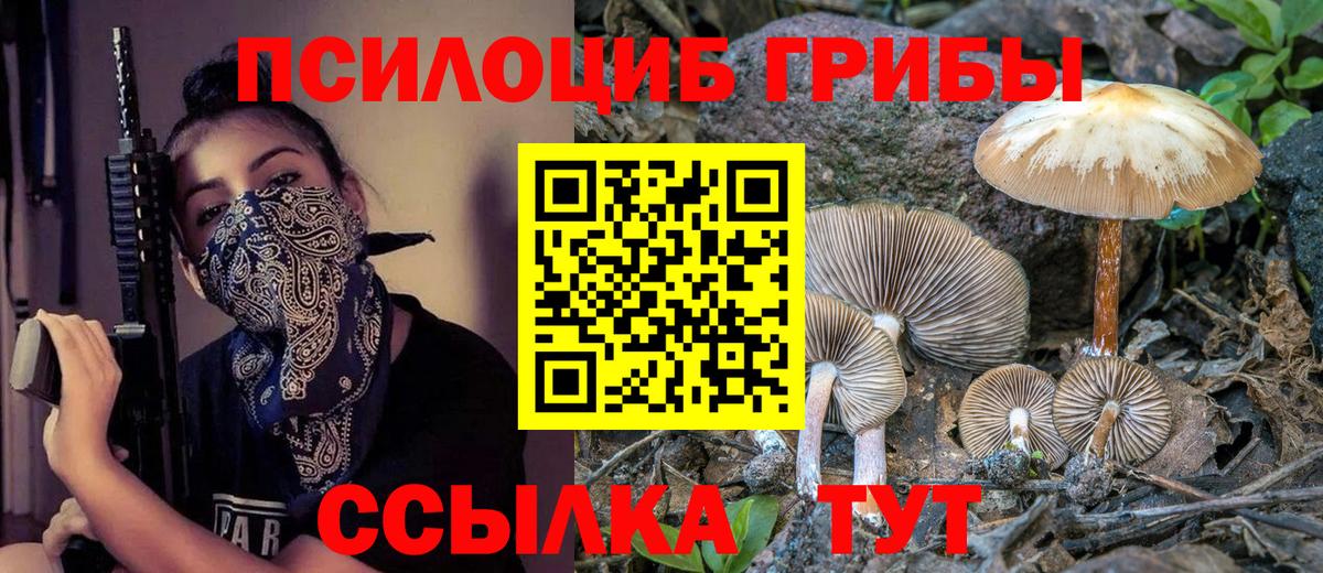 Избербаш  Псилоцибиновые грибы Cubensis  Вход с VPN 
